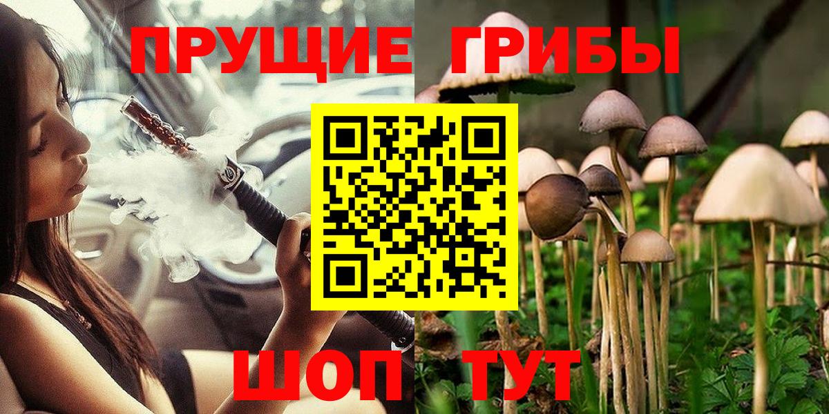 Псилоцибиновые грибы Cubensis  Вход с VPN  Сызрань 