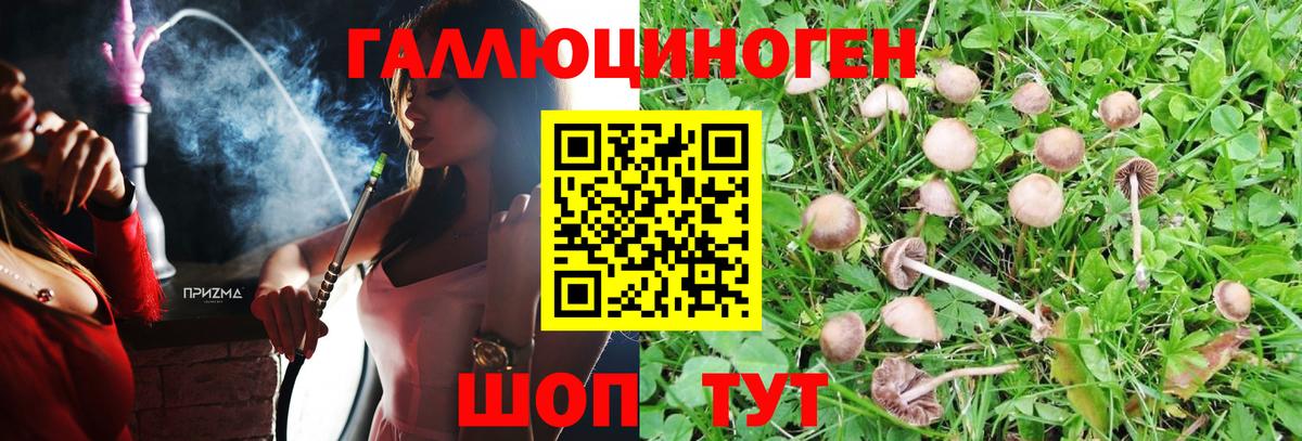 Псилоцибиновые грибы ЛСД Сызрань
