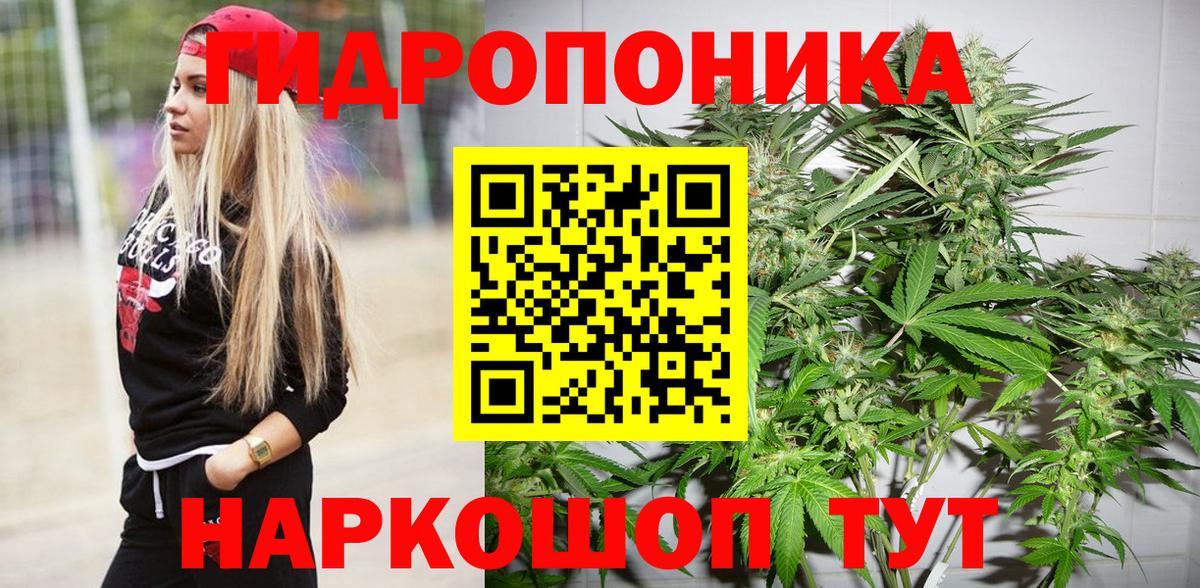 Сызрань  Каннабис сатива  Вход с VPN  Канабис конопля 